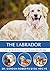 The Labrador: A vet's guide...