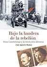 Bajo la bandera de la rebelión