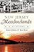 New Jersey Meadowlands: A History (Brief History)