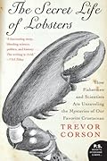 The Secret Life of Lobsters: How Fishermen and Scientists Are Unraveling the Mysteries of Our Favorite Crustacean 