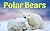Polar Bears: Fun Facts For Kids, Picture Books For Kids