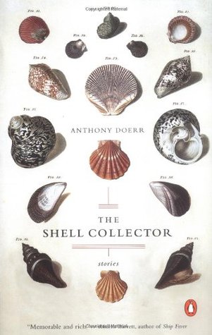 The Shell Collector (Paperback)