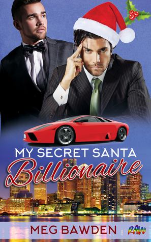 My Secret Santa Billionaire