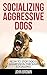 Socializing Aggressive Dogs...