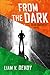 From the Dark: A Sean Barrett Novel