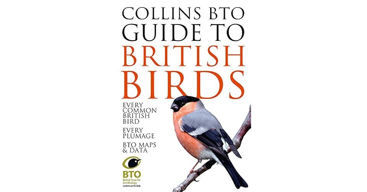 Collins BTO Guide to British Birds by Paul Sterry