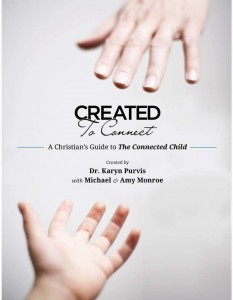 Created to Connect: A Christian's Guide to The Connected Child