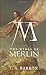 The Wings of Merlin by T.A. Barron