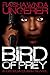 Bird of Prey by Rashawnda Ungerer