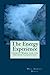 The Energy Experience: Energy Work for the Second Cognition (The Evolution of Consciouness Book 5)