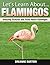Flamingos: Amazing Pictures and Facts About Flamingos (Let's Learn About)