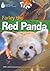 Farley the Red Panda