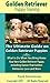 Golden Retriever Puppy Training: The Ultimate Guide on Golden Retriever Puppies, What to Do When You Bring Home Your New Golden Retriever Puppy, Including Games That Golden Retrievers Love and More