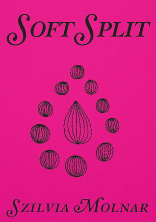 Soft Split (Pamphlet )