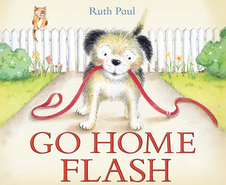 Go Home Flash (Hardcover)