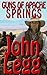 Guns of Apache Springs by John Legg