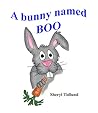 A bunny named BOO