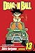Dragon Ball, Vol. 13: Picco...