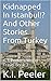 Kidnapped In Istanbul!? And Other Stories From Turkey: K. I. Peeler's World Travel Book 3