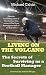 Living on the Volcano: The Secrets of Surviving as a Football Manager