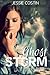Ghost Storm (Hidden Bay, #1)