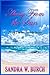 Away From the Sun: Book 2 in the Seaside Series