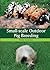 Small-scale Outdoor Pig Bre...