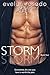 Storm: Book 4