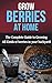 Grow Berries At Home: The c...