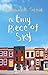 A Tiny Piece of Sky