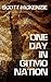 One Day in Gitmo Nation