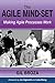 The Agile Mind-Set: Making Agile Processes Work