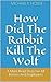 How Did The Rabbit Kill The Wolf by Michael P. Howie