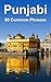 Punjabi: 50 Common Phrases