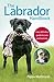 The Labrador Handbook: The definitive guide to training and caring for your Labrador
