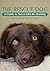 Rescue Dog: A Guide to Succ...