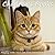 Children's Books: Playing With Your Cat And Caring For Your Cat (Cat Picture Books For Kids) (The Most Popular Cat Breeds 2015)