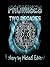 Promises: Two Decades (The Promises Series Book 3)