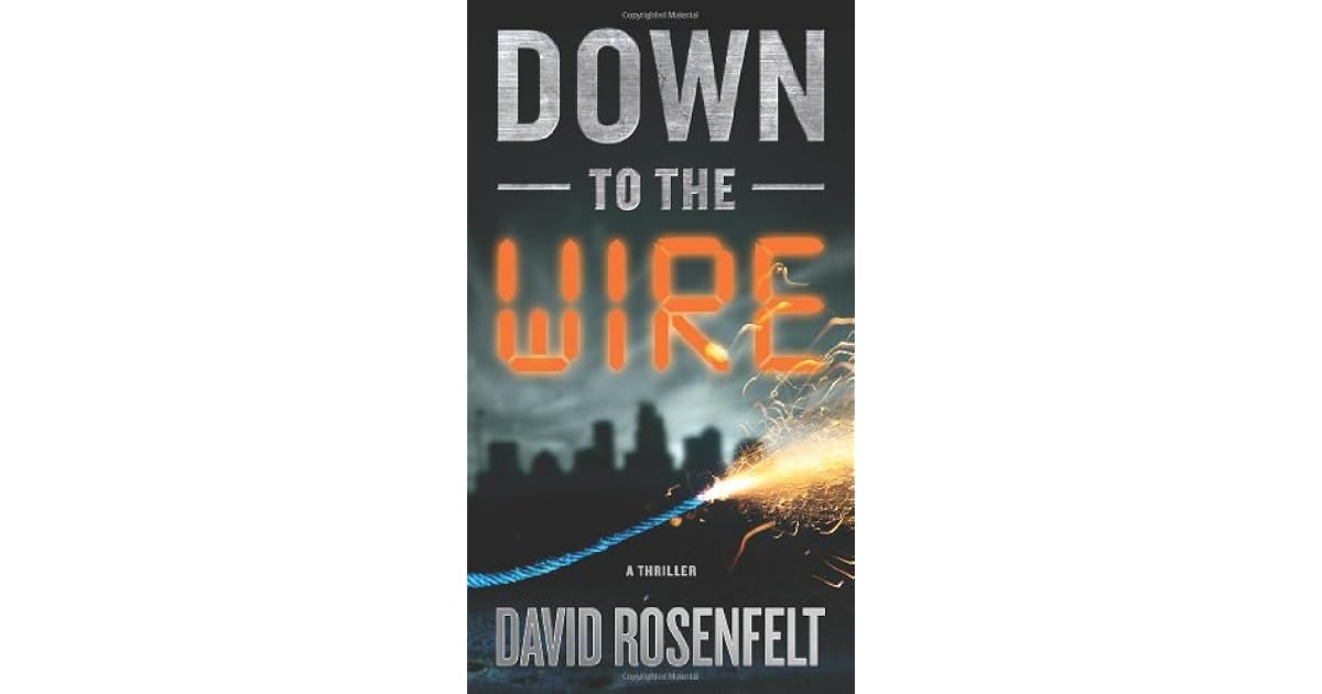 Down to the Wire by David Rosenfelt Down to the Wire by David Rosenfelt