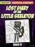 Lost Diary Of The Little Skeleton by Lego Kid
