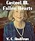 Fallen Hearts by V.C. Andrews