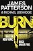 Burn (Michael Bennett 7)