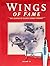 Wings of Fame, The Journal of Classic Combat Aircraft Vol. 16