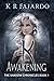 K: The Awakening (The Shado...