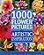 1000 Flower Pictures for Artistic Inspiration by Angela Dufour