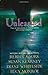 Unleashed by Rebecca York