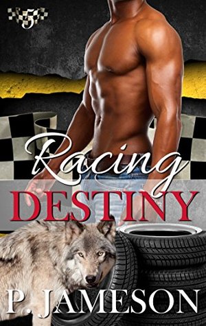Racing Destiny (Dirt Track Dogs, #5)
