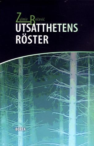 Utsatthetens röster (Paperback)