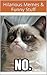 Grumpy Cat: Hilarious Memes...