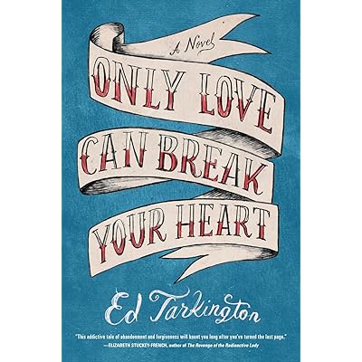 Unsur Intrinsik Novel My Idiot Brother Berbagai Unsur